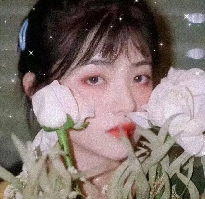 爱情迷踪