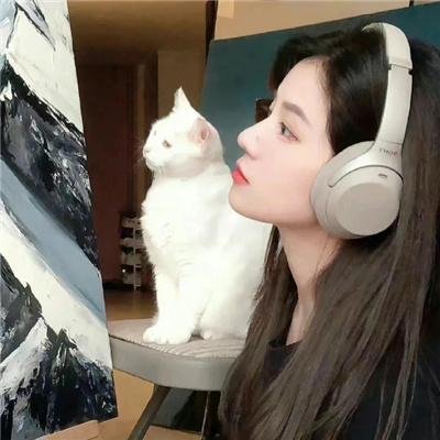 难续未了缘